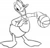 Donald duck